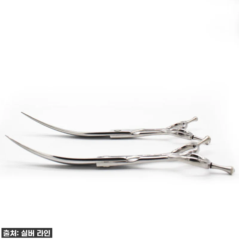 우리집 댕댕이, 미용실 안 가도 돼! 관련 이미지 2