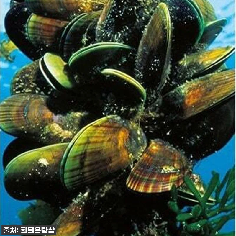 이건 진짜 놓치면 후회할 걸? ✨ 라 관련 이미지 3