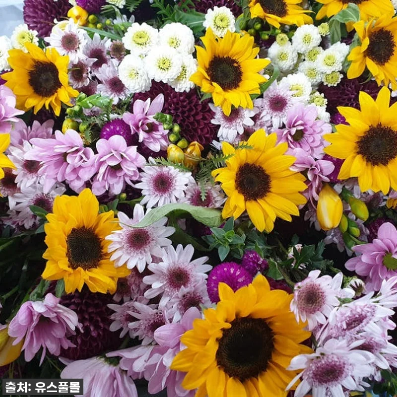 싱그러움이 가득! 유스풀몰 꽃 정기구 관련 이미지 3