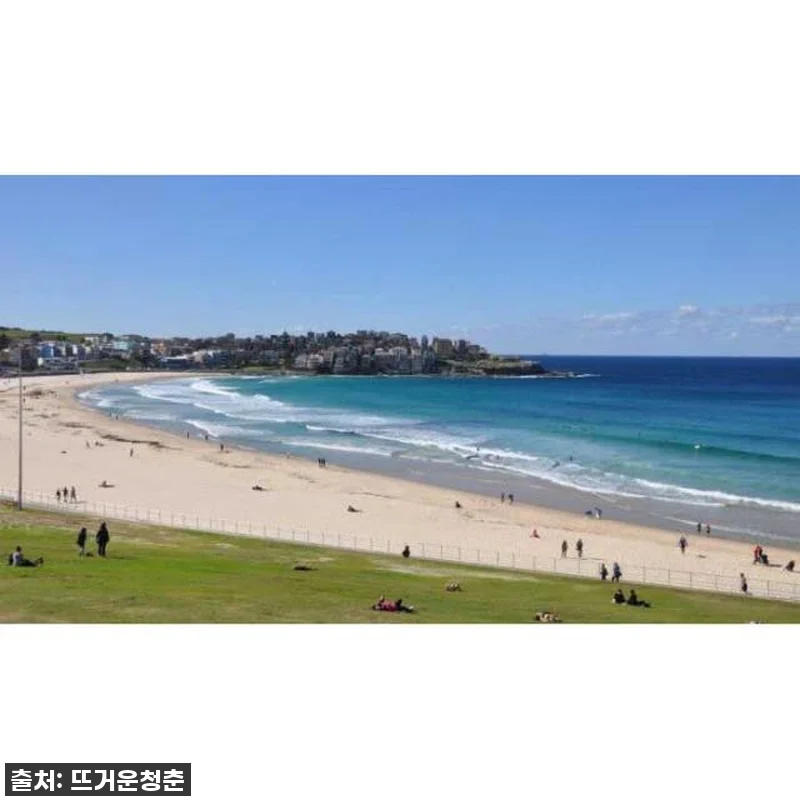시드니 여행, 이거 없으면 후회각! 관련 이미지 3