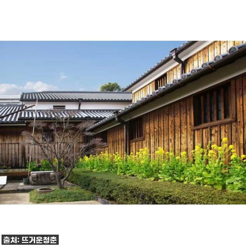 고베 여행 찐추천! 지금 놓치면 후회 관련 이미지 3