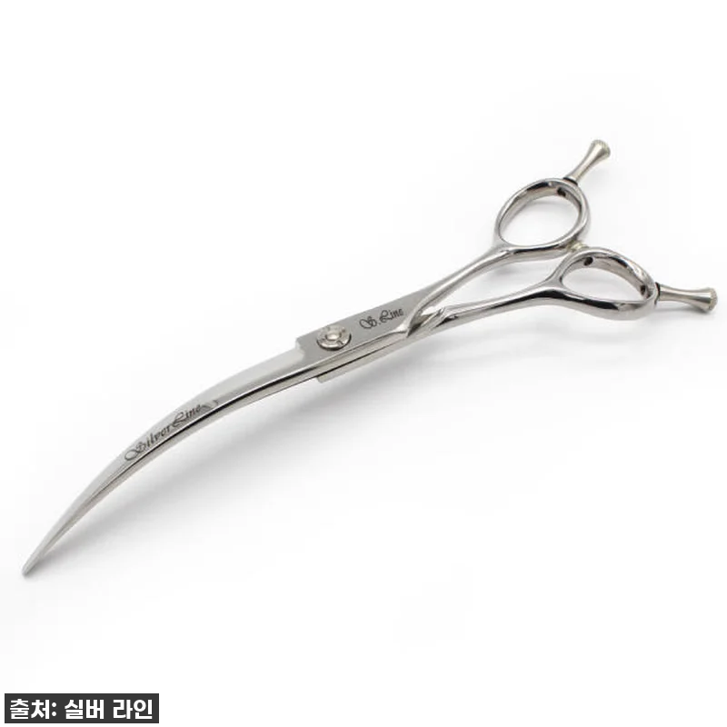 우리집 댕댕이, 미용실 안 가도 돼! 관련 이미지 3