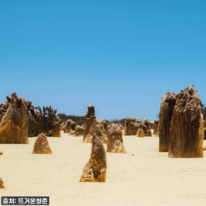 ✨인생샷 필수! 호주 서호주 2박3일 관련 이미지 3