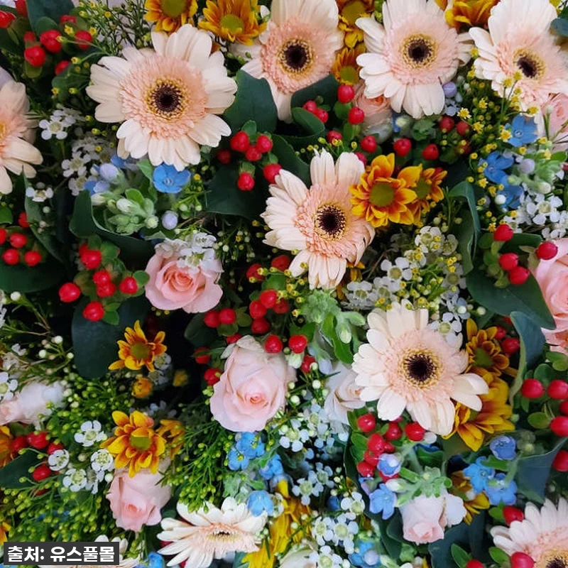 싱그러움이 가득! 유스풀몰 꽃 정기구 관련 이미지 4