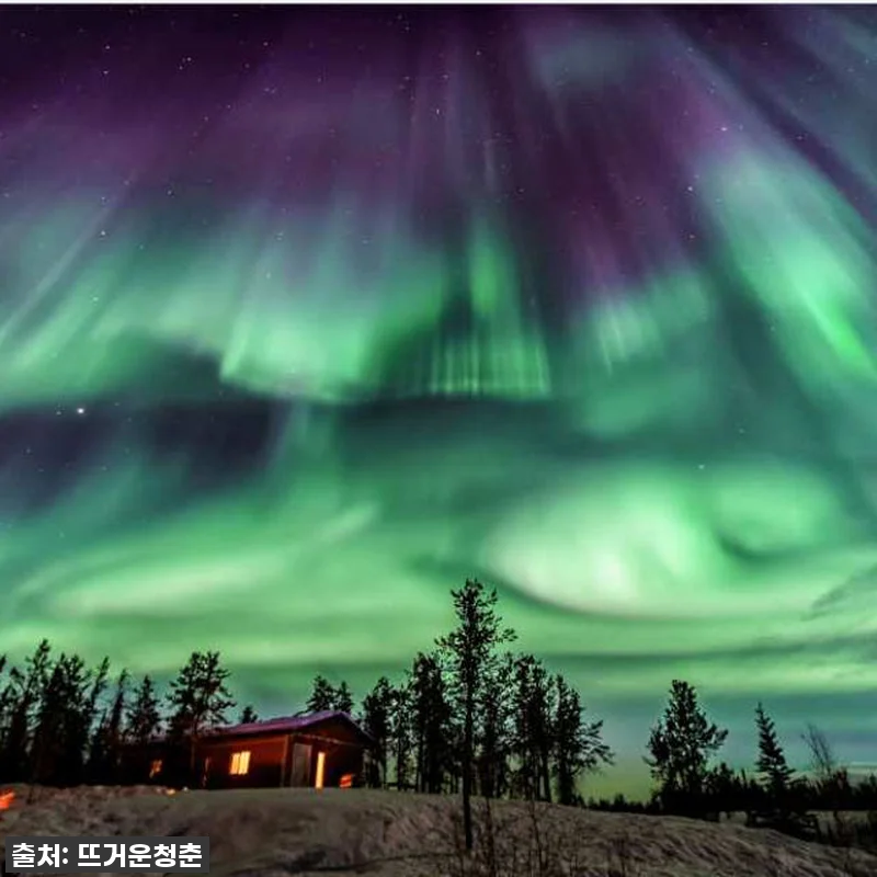 지금 아니면 후회할 걸? ✨ 캐나다 관련 이미지 4