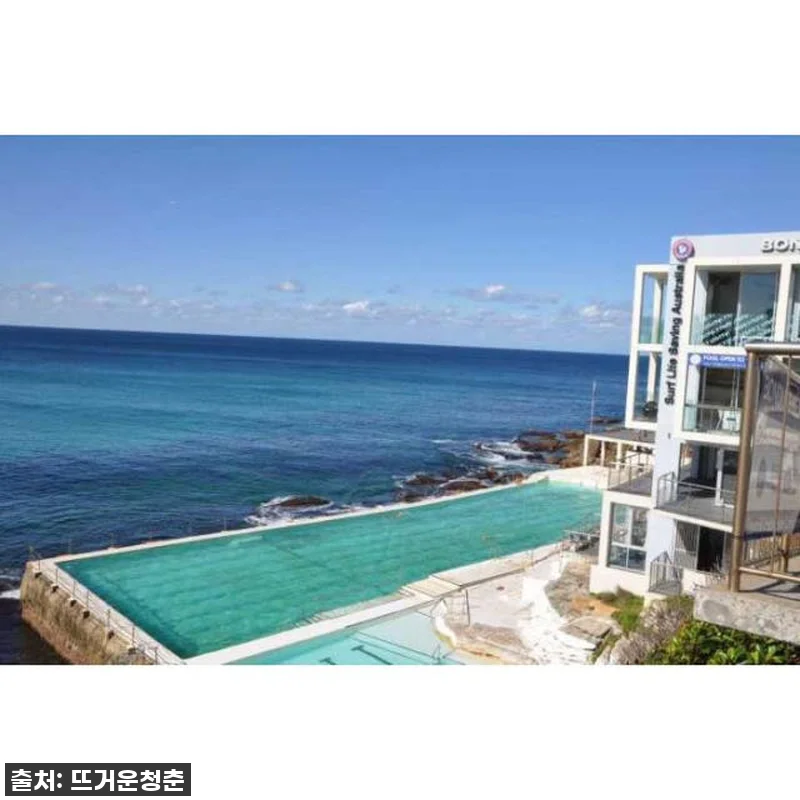 시드니 여행, 이거 없으면 후회각! 관련 이미지 4