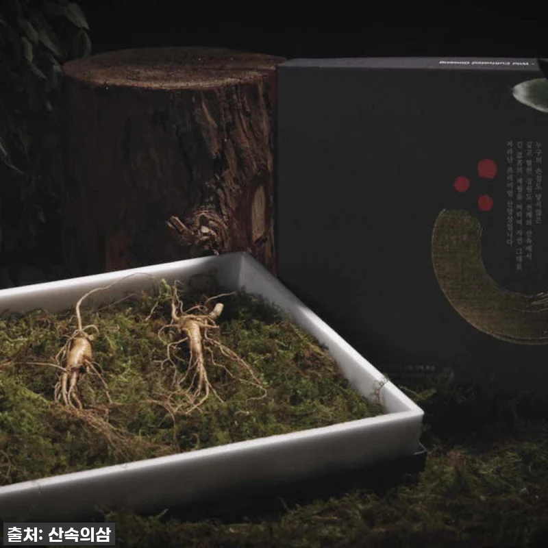 이거 실화냐? 51% 반값 할인! 프 관련 이미지 4