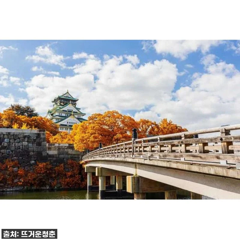 오사카 여행, 이제 헤매지 마세요! 관련 이미지 3