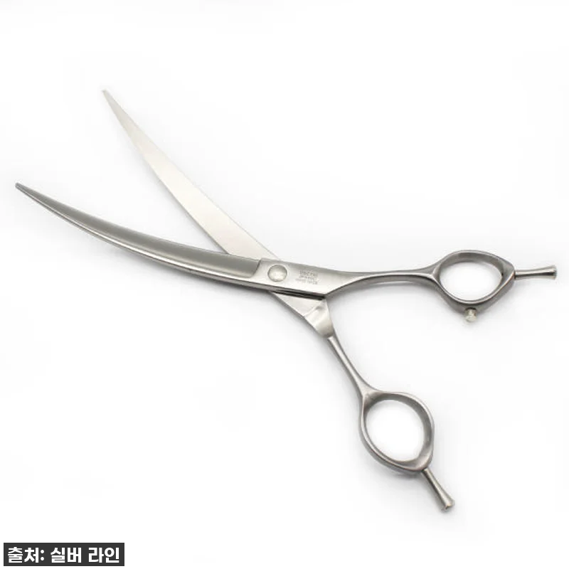 우리집 댕댕이, 미용실 안 가도 돼! 관련 이미지 4