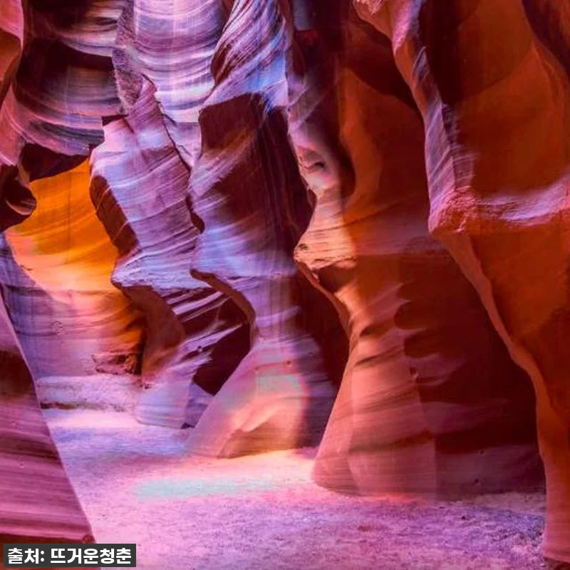 역대급 할인 놓치면 후회! 옐로스톤 관련 이미지 5