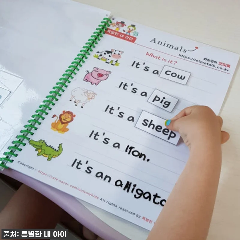 5살 아이 영어 말문 터진 비결? ✨ 관련 이미지 5