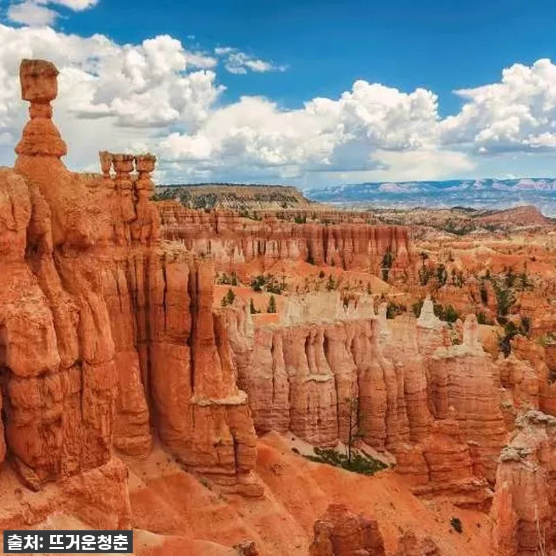 인생 버킷리스트 실현! 미국 서부 2 관련 이미지 5