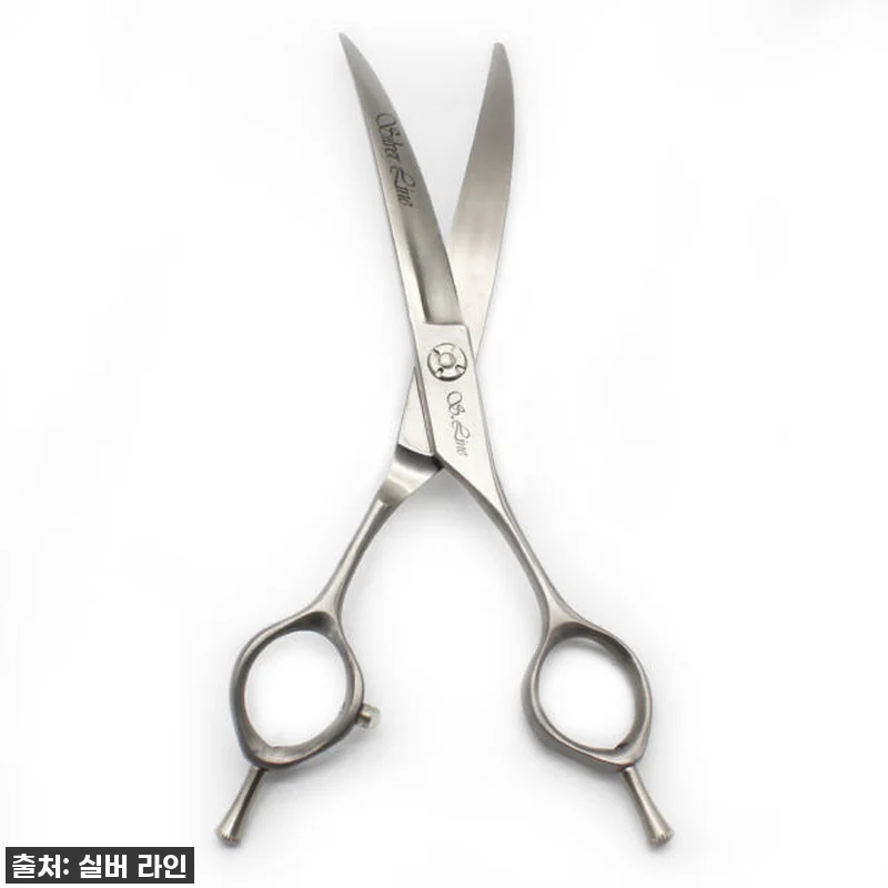 우리집 댕댕이, 미용실 안 가도 돼! 관련 이미지 5