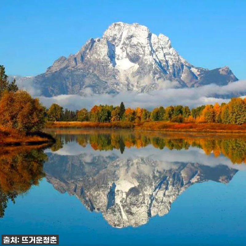 역대급 할인 놓치면 후회! 옐로스톤 관련 이미지 6