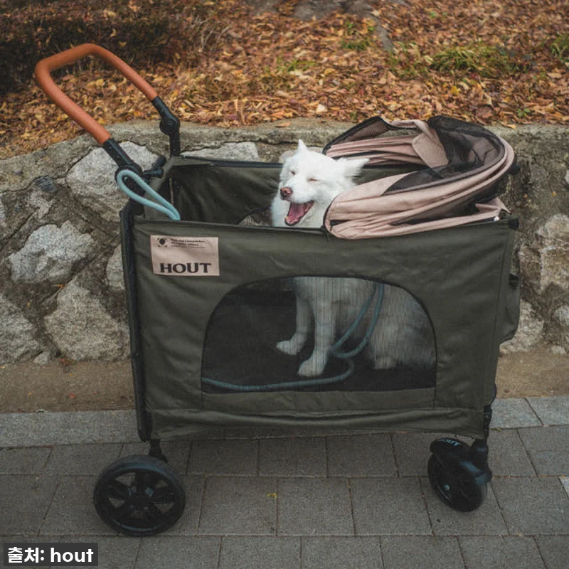 이건 무조건 사야 해! 🤩 하웃 강아 관련 이미지 6