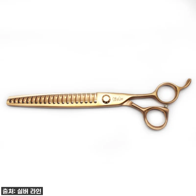 이건 진짜 '골드팡팡' 터져요! 실버 관련 이미지 6