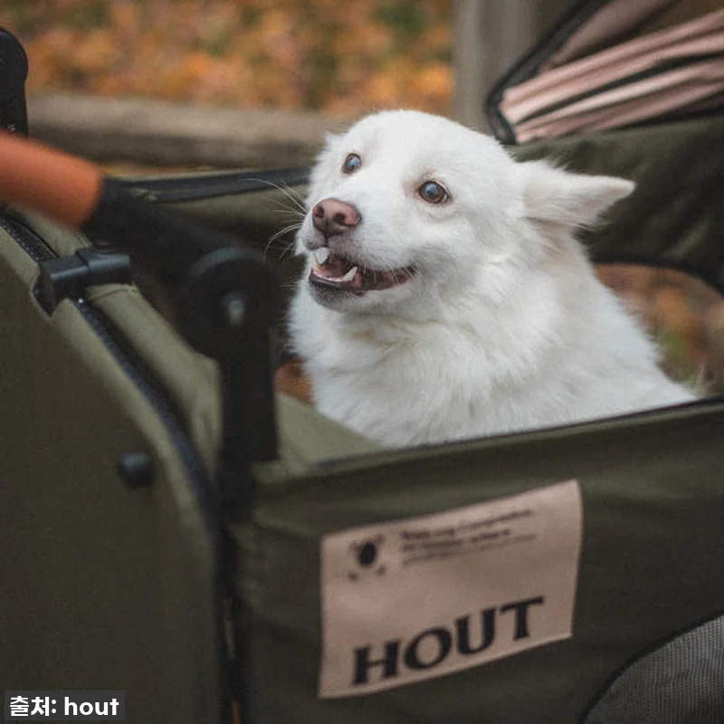이건 무조건 사야 해! 🤩 하웃 강아 관련 이미지 7