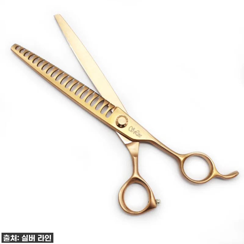 이건 진짜 '골드팡팡' 터져요! 실버 관련 이미지 8