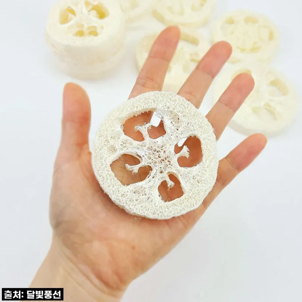 이 가격 실화?! 천연수세미 비누받침, 욕실 위생 끝판왕 등극! 이건 무조건 쟁여야 해!