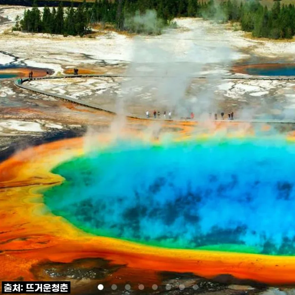 역대급 할인 놓치면 후회! 옐로스톤 6박 7일 투어, 이 가격에 미쳤다구요? 내돈내산 찐후기!