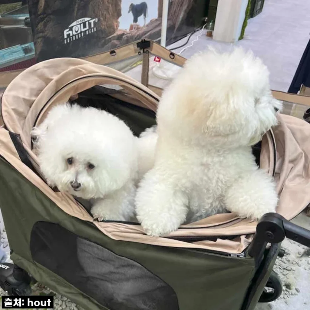 이건 무조건 사야 해! 🤩 하웃 강아지 유모차, 우리 댕댕이들 위한 이동형 럭셔리 하우스!