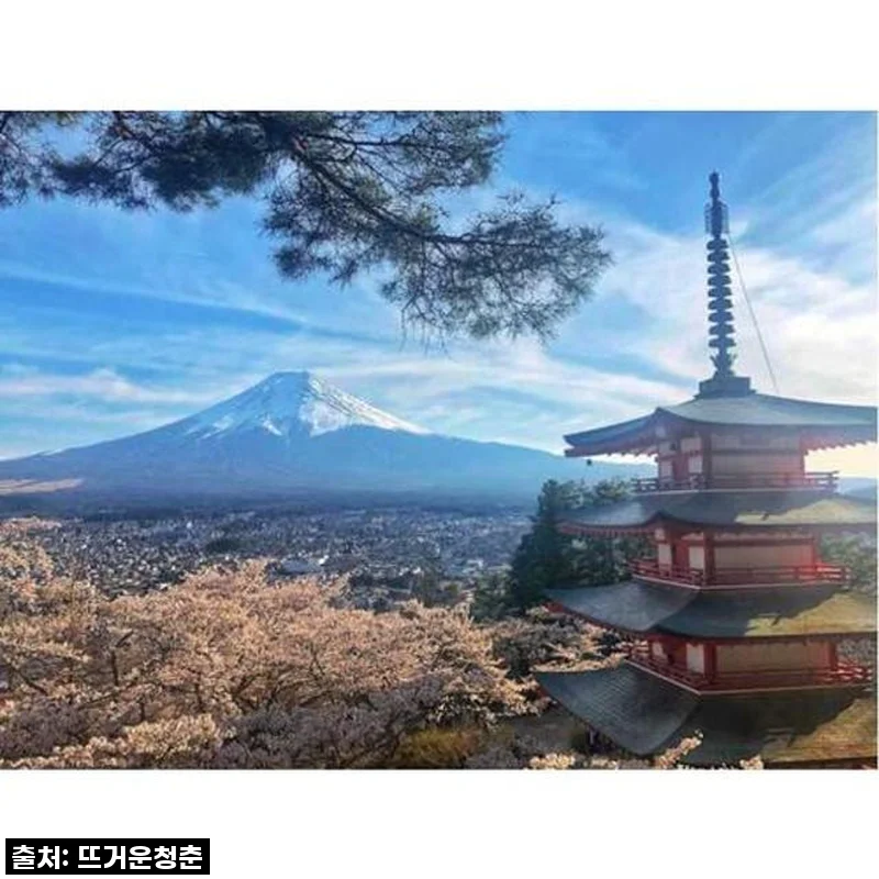 후지산 가와구치호수 프라이빗 투어, 찐 내돈내산 후기! 도쿄 여행 중 가장 완벽했던 하루?