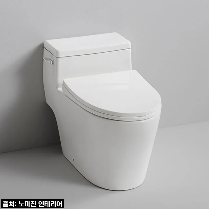 대림바스 CC216 원피스 치마형양변기? 직접 써보니 이 가격에 이런 고급스러움, 실화예요? (feat. 설치후기까지!)