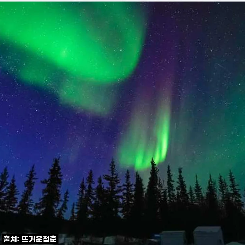 지금 아니면 후회할 걸? ✨ 캐나다 옐로나이프 오로라, 이 가격 실화냐! 4박 5일 찐후기
