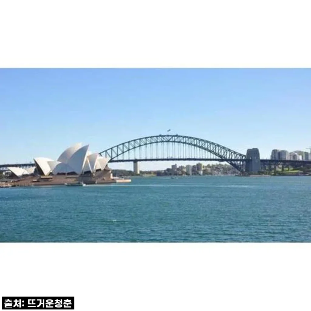 시드니 여행, 이거 없으면 후회각! 프라이빗 반나절 투어 리얼 후기 (feat. 인생샷 스팟 대방출)