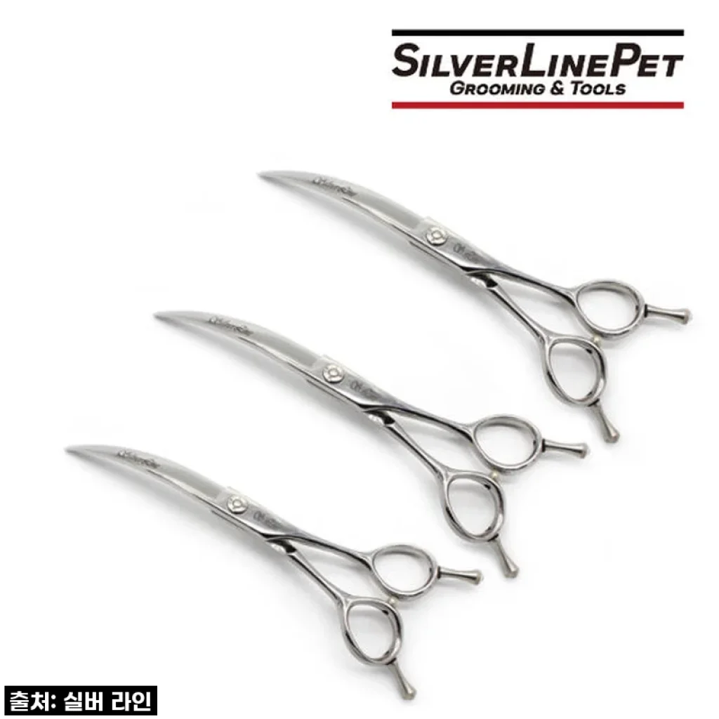 우리집 댕댕이, 미용실 안 가도 돼! 실버라인펫 DSC 커브가위로 금손 등극 솔직 후기