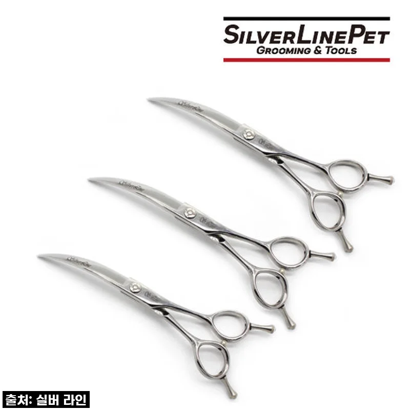 우리집 댕댕이, 미용실 안 가도 돼! 실버라인펫 DSC 커브가위로 금손 등극 솔직 후기