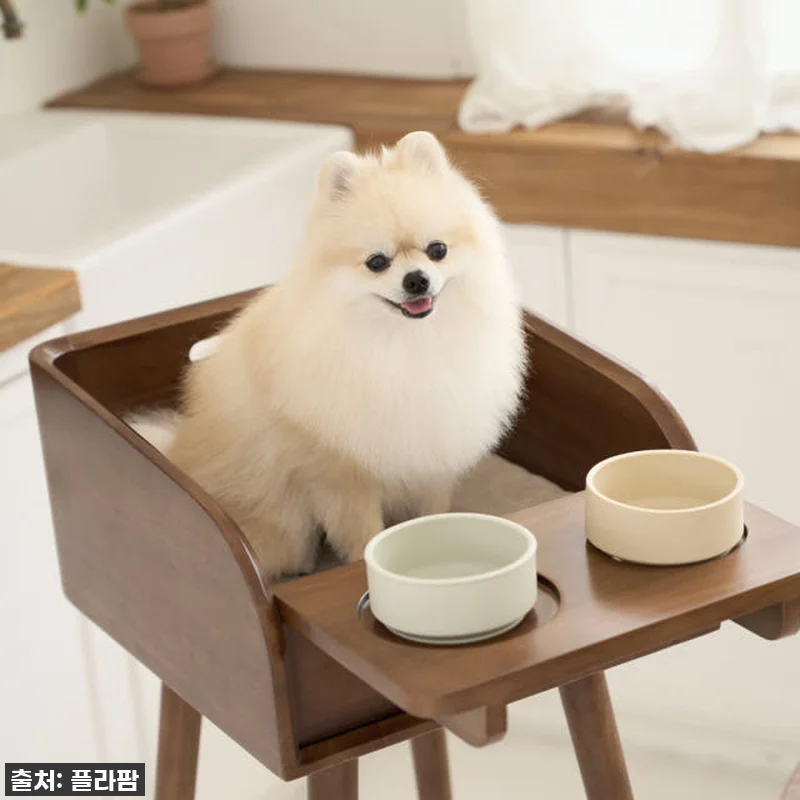 우리 강아지 식사시간이 달라졌어요! 관련 이미지 1