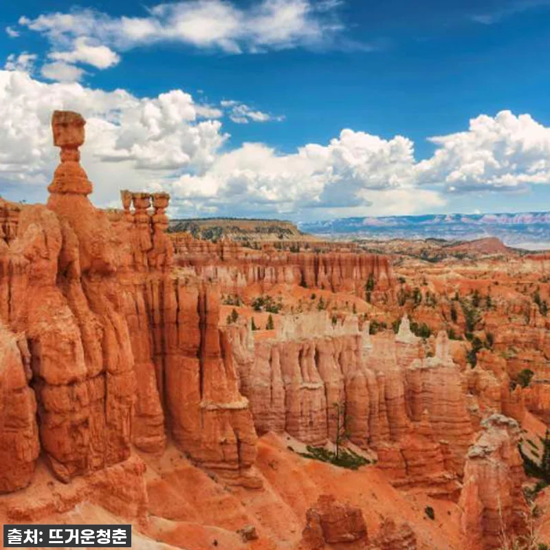 죽기 전에 꼭 가봐야 할! 미국 그랜 관련 이미지 2