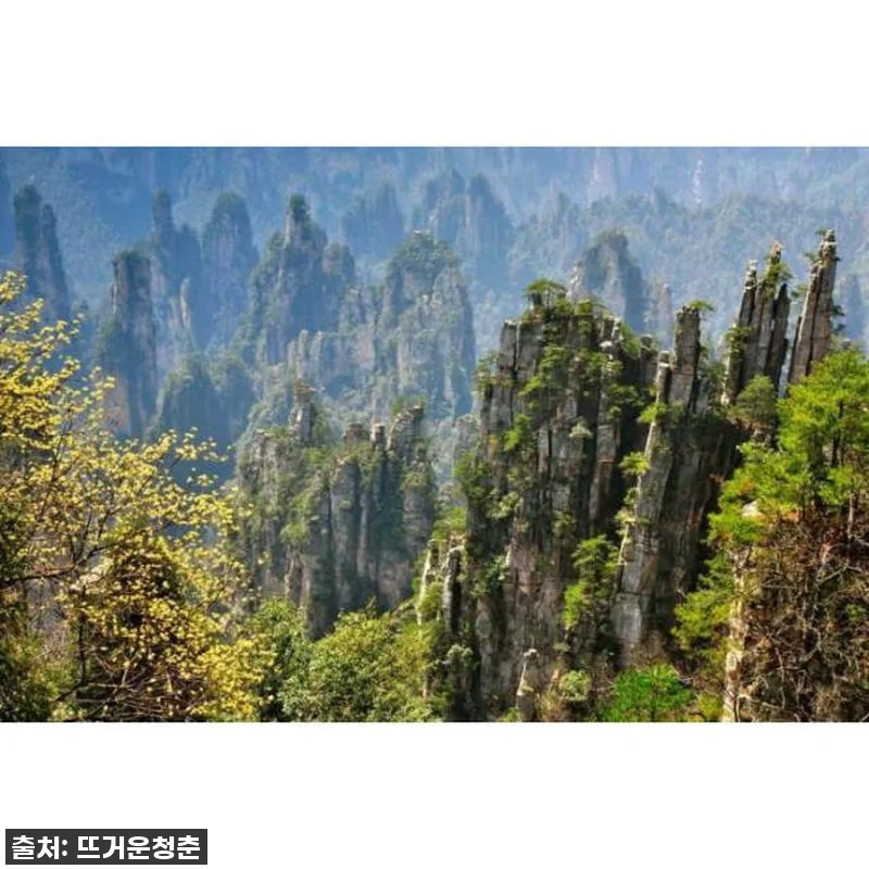 장가계 국립 삼림 공원, 나만의 속도 관련 이미지 2