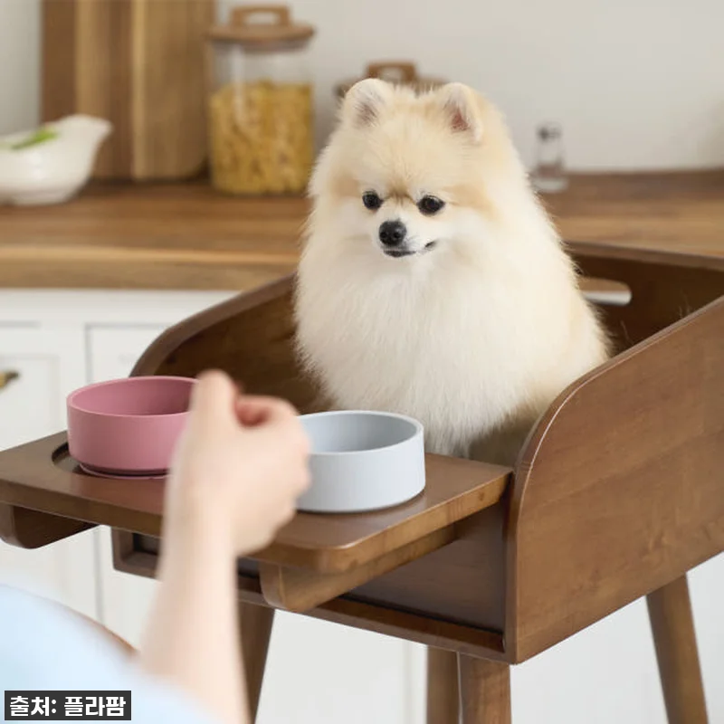 우리 강아지 식사시간이 달라졌어요! 관련 이미지 2