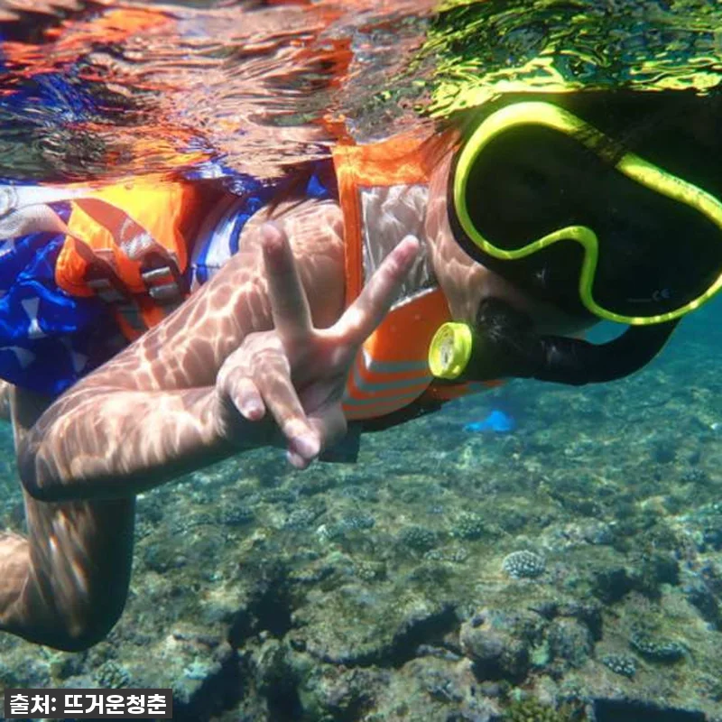 꿈 같았던 오키나와 이리오모테섬 프라 관련 이미지 2