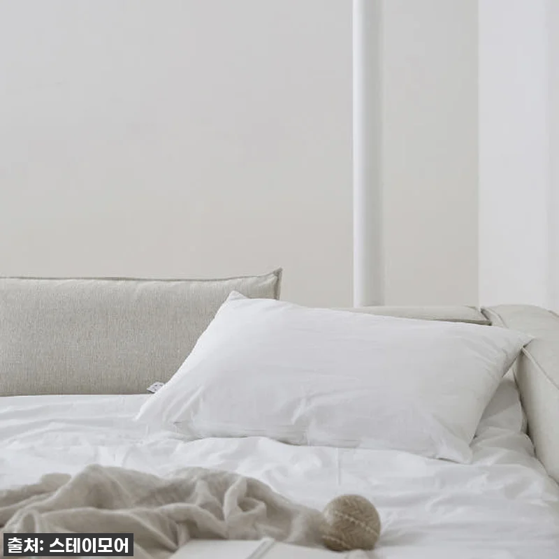 스테이모어 룬드 패밀리 SS+SS 앤 관련 이미지 2