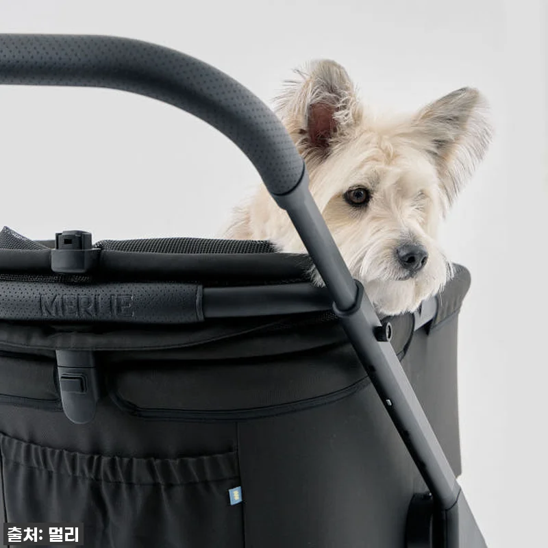 이 가격 실화?! 멀리 에어바퀴 강아 관련 이미지 3