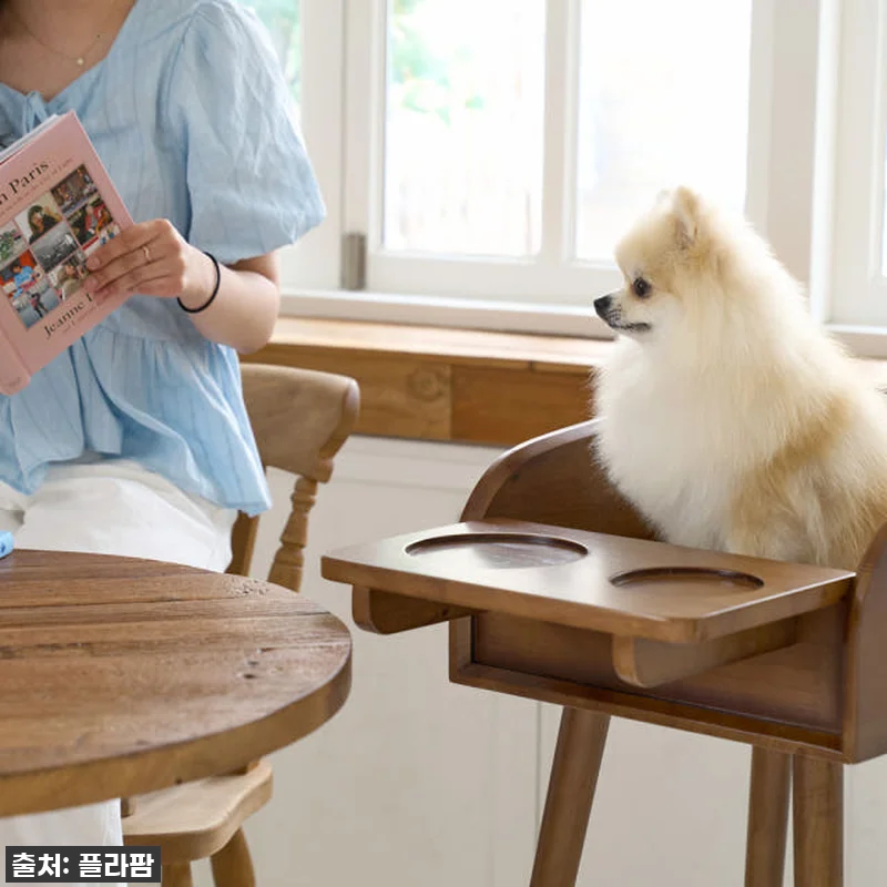 우리 강아지 식사시간이 달라졌어요! 관련 이미지 3