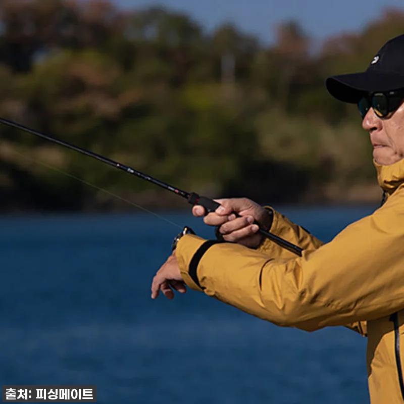 무늬오징어 에깅의 로망, 다이와 에메 관련 이미지 3