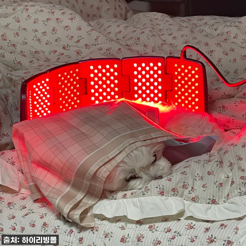 환절기 무릎 시큰거림 이젠 안녕! 라 관련 이미지 3