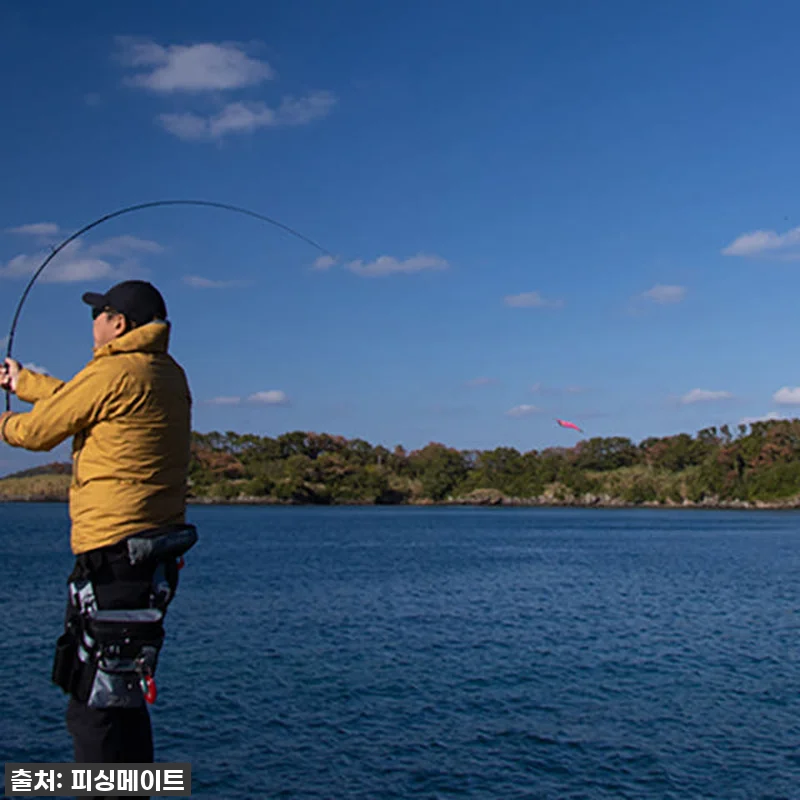 무늬오징어 에깅의 로망, 다이와 에메 관련 이미지 4