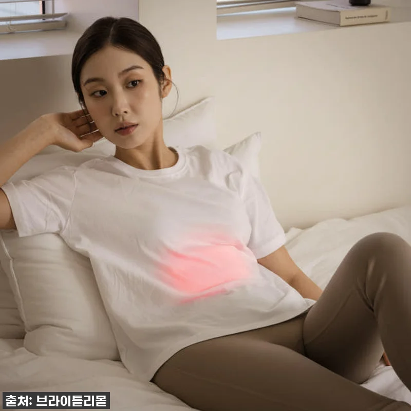 브라이틀리 웰니스 휴대용 LED 빛케 관련 이미지 4