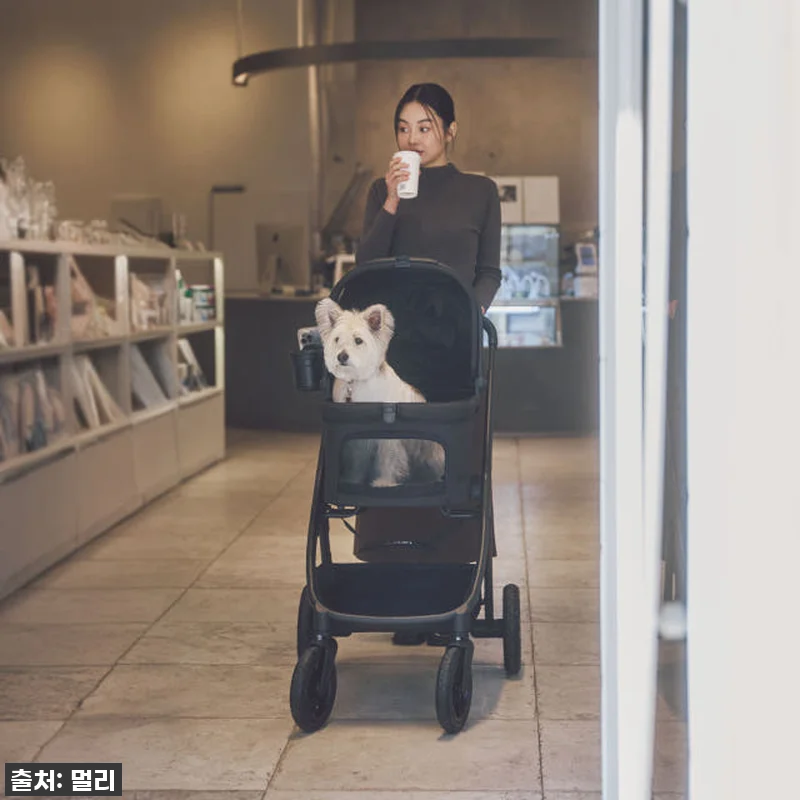 이 가격 실화?! 멀리 에어바퀴 강아 관련 이미지 5