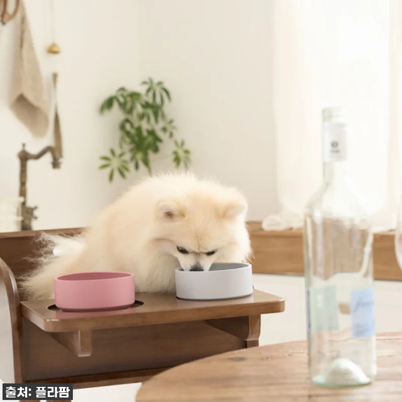 우리 강아지 식사시간이 달라졌어요! 관련 이미지 5