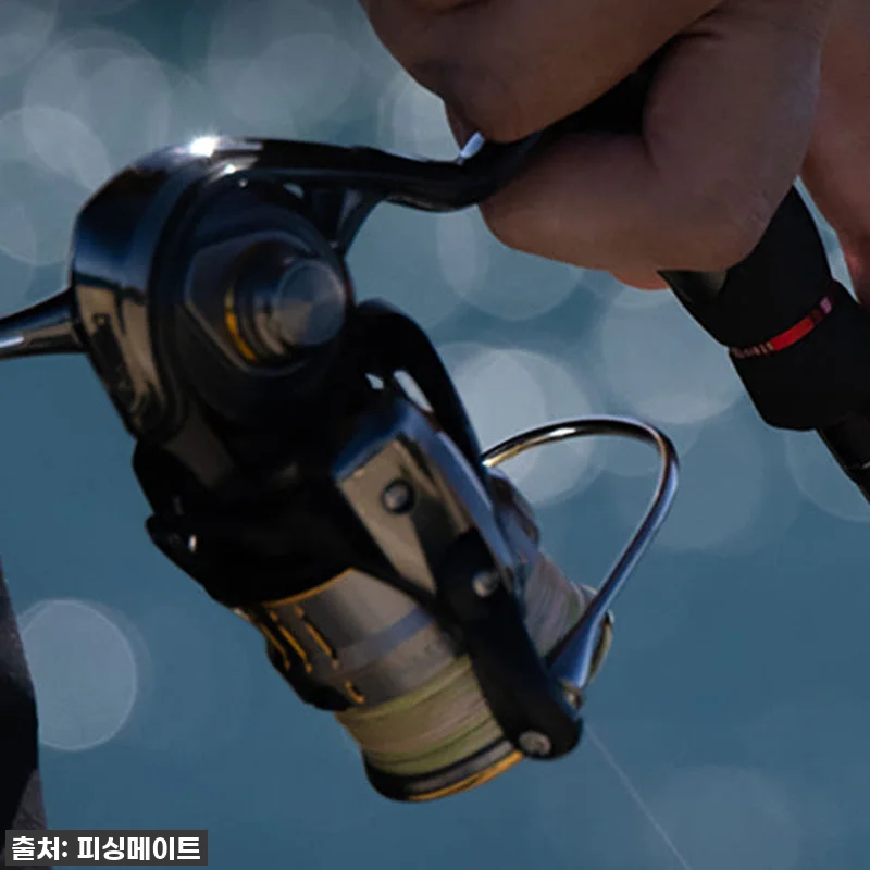 무늬오징어 에깅의 로망, 다이와 에메 관련 이미지 5