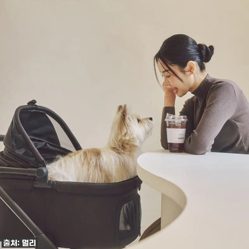 이 가격 실화?! 멀리 에어바퀴 강아 관련 이미지 6