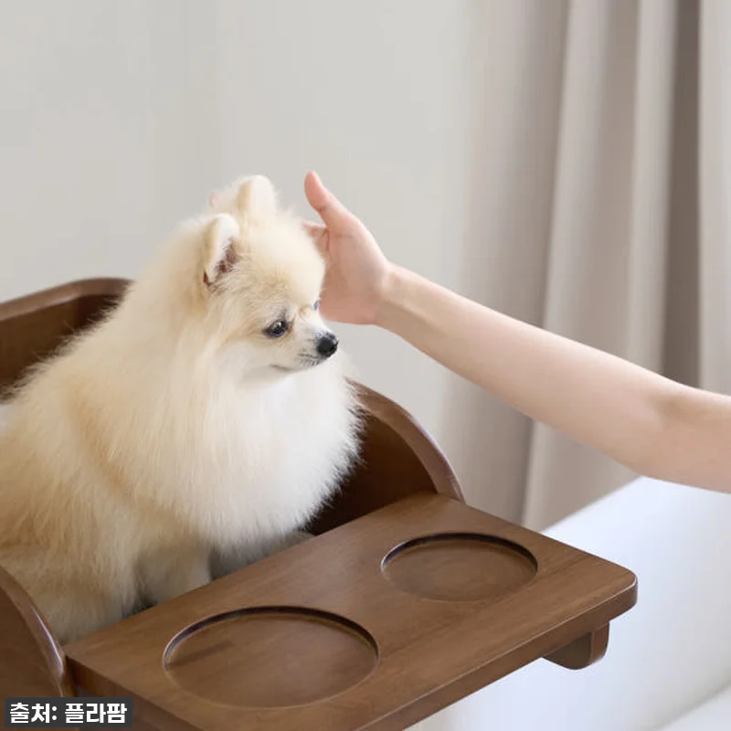 우리 강아지 식사시간이 달라졌어요! 관련 이미지 6