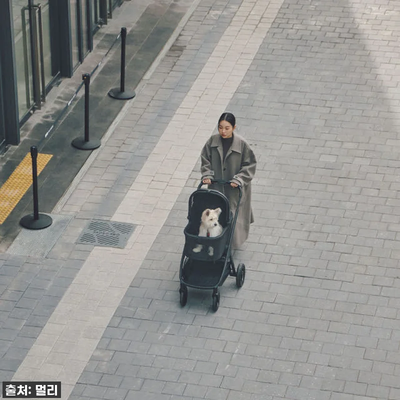 이 가격 실화?! 멀리 에어바퀴 강아 관련 이미지 7