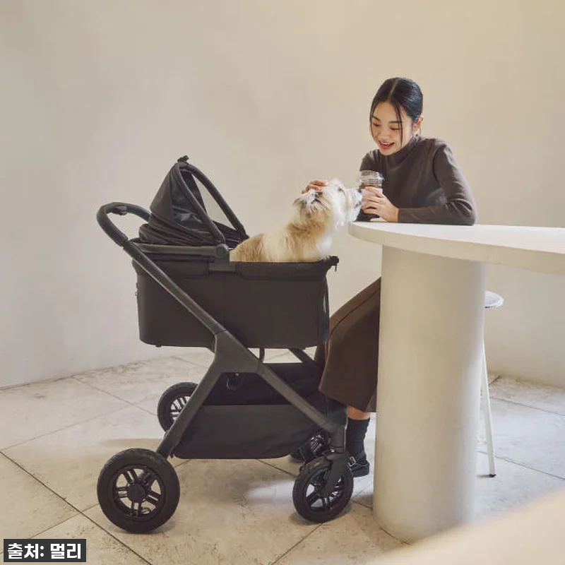 이 가격 실화?! 멀리 에어바퀴 강아 관련 이미지 8